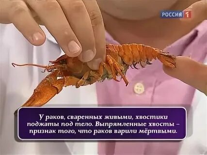 Когда то был рак