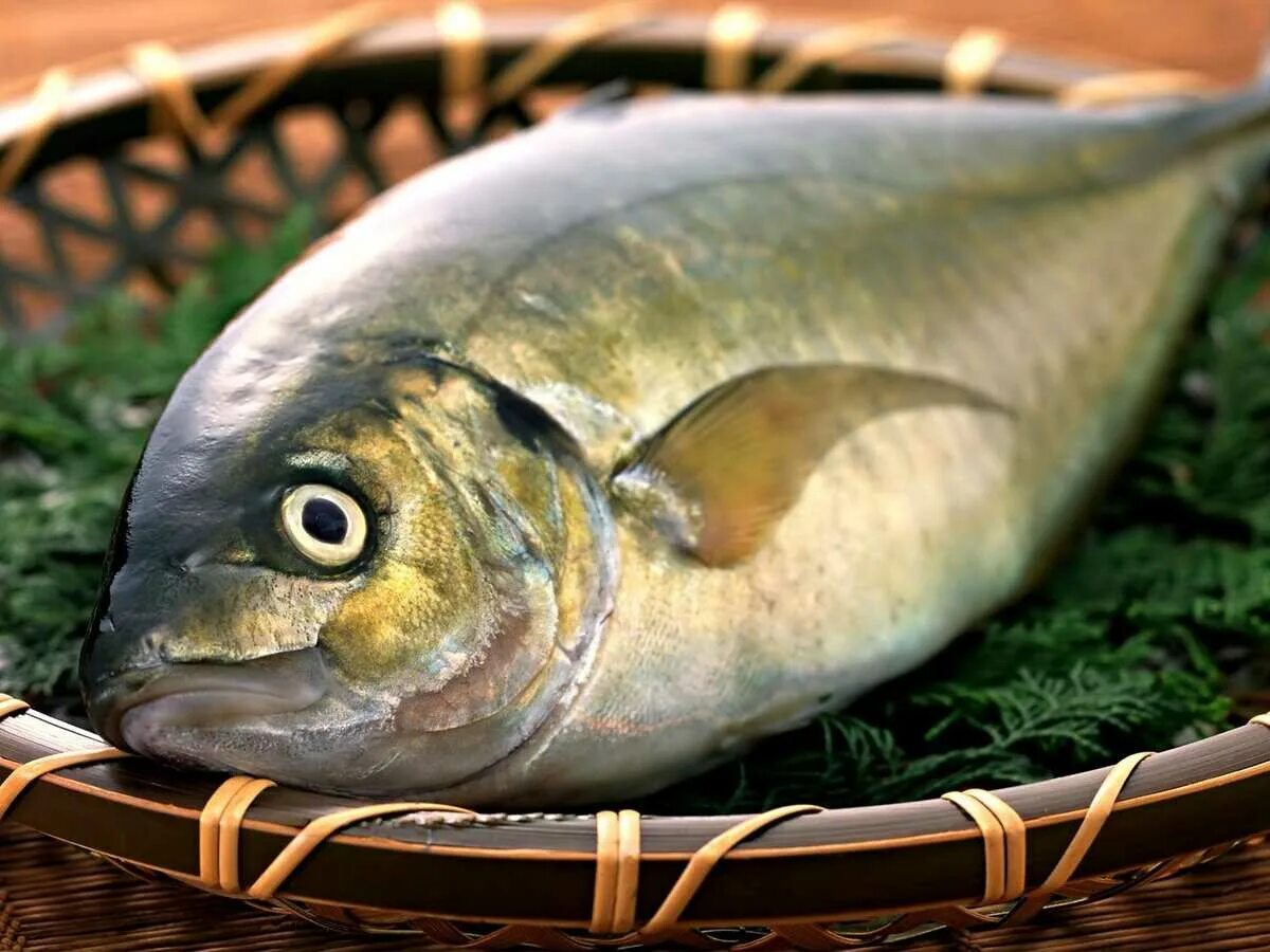 Без рыбы. Hairtail Fish.