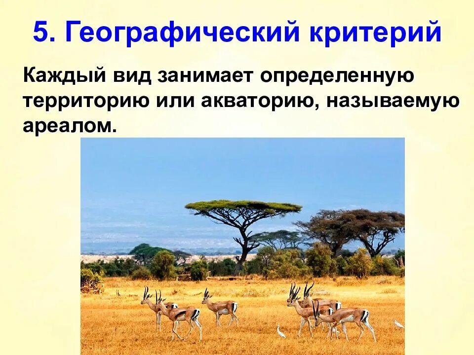 Занимает определенную территорию