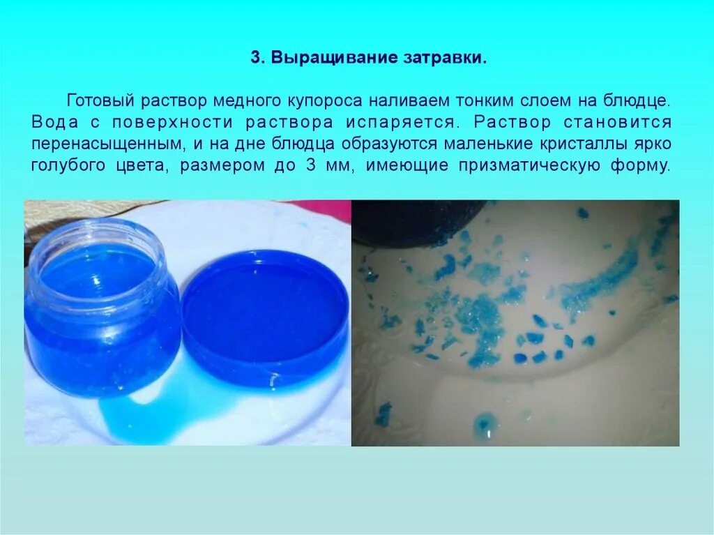 Сульфат меди среда раствора. Кристалл медного купороса в растворе. Медный купорос раствор испарение. Раствор купороса меди. Медный купорос готовый раствор.