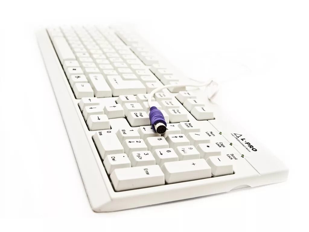 Окпд 2 клавиатура для компьютера. Клавиатура l-pro kb-201p keyboard white ps/2. клавиатура comep kb-240 white ps/2. клавиатура colorsit kb-1906 white ps/2. клавиатура l-pro kb-201u keyboard white usb.