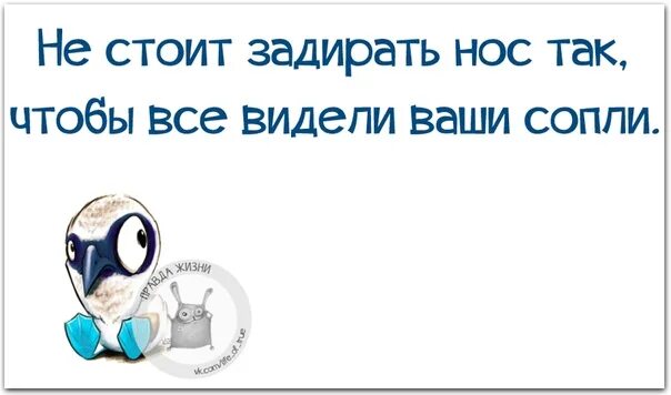 Задирать нос примеры. Не задирай нос. Не стоит задирать свой нос так. Не стоит задирать свой нос так чтобы все видели ваши сопли. Задравши нос.