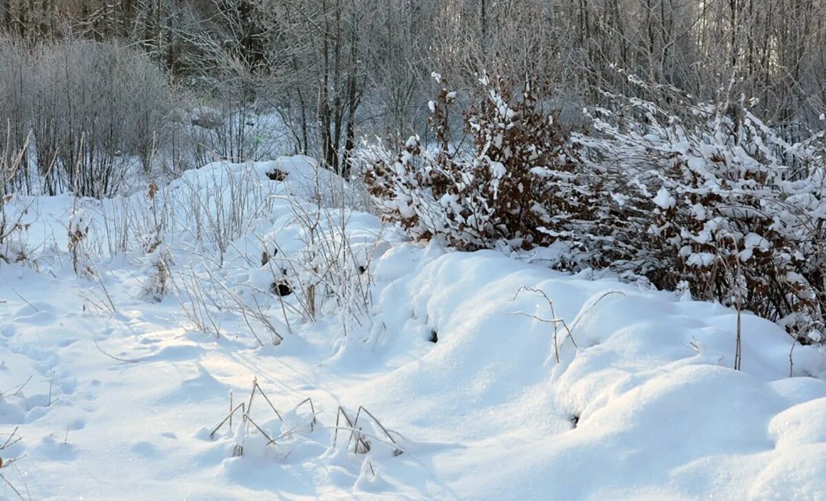 снежный овраг. овраг в снегу. овраг весной. по овражкам под снегом. по овражкам под снегом.