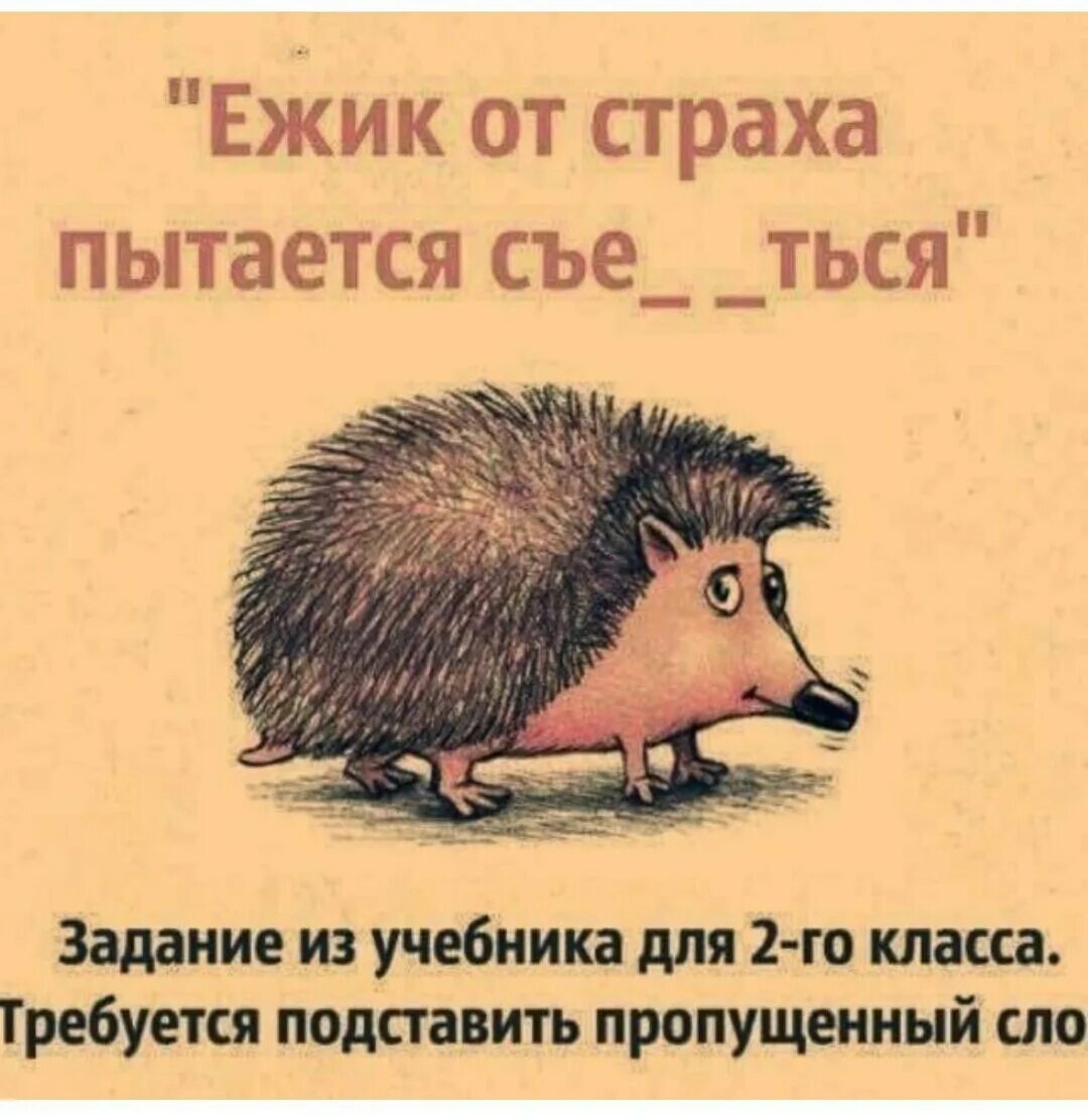 Ежик оказался. Ежик от страха. Ёжик от страха хочет. Ежик съежился. Ёжик от страха пытаеться съежиться.