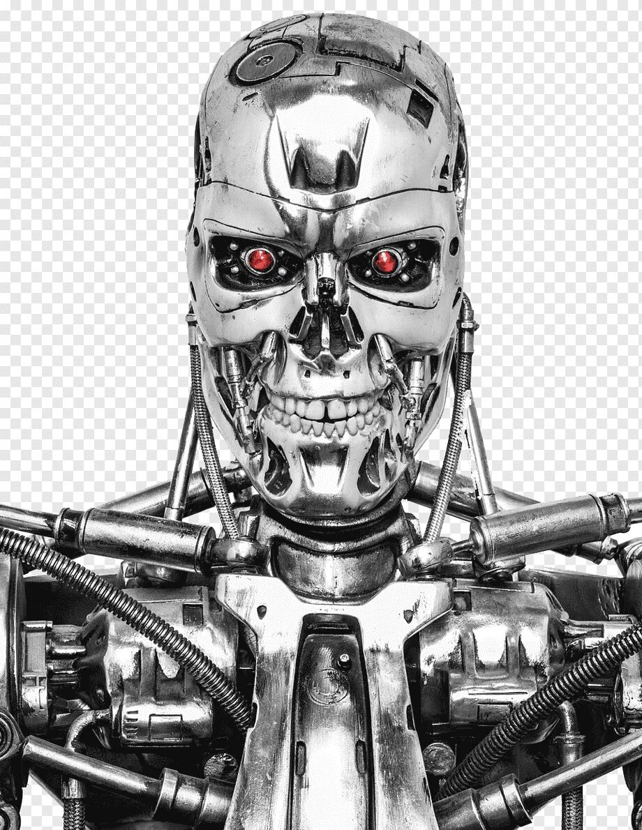 Terminator t-800. Т 800 эндоскелет. Терминатор робот т 800. Робот эндоскелет Терминатора t-800.