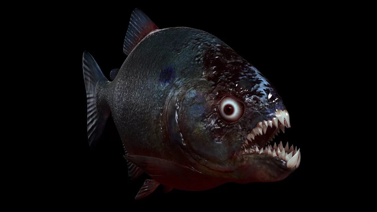 Как выглядит рыба пиранья Piranhas devoram um Sapo que cai no Aquário Animais da floresta tropical, Peixes
