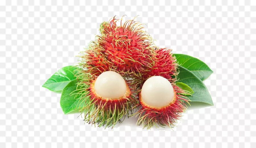 Орех рамбутан. Фрукты тайланда рамбутан. Rambutan fz capcat. Rambutan fz capcat. Рамбутан.