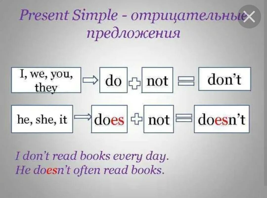 Схема отрицательного предложения в present simple. Правило отрицательных предложений в present simple. Present simple отрицание и вопрос. Present simple построение отрицания. Отрицательная форма предложения present simple