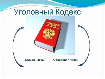 Кодексы бельгия