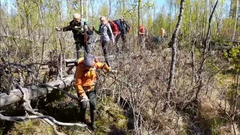 Гарболово девяткино