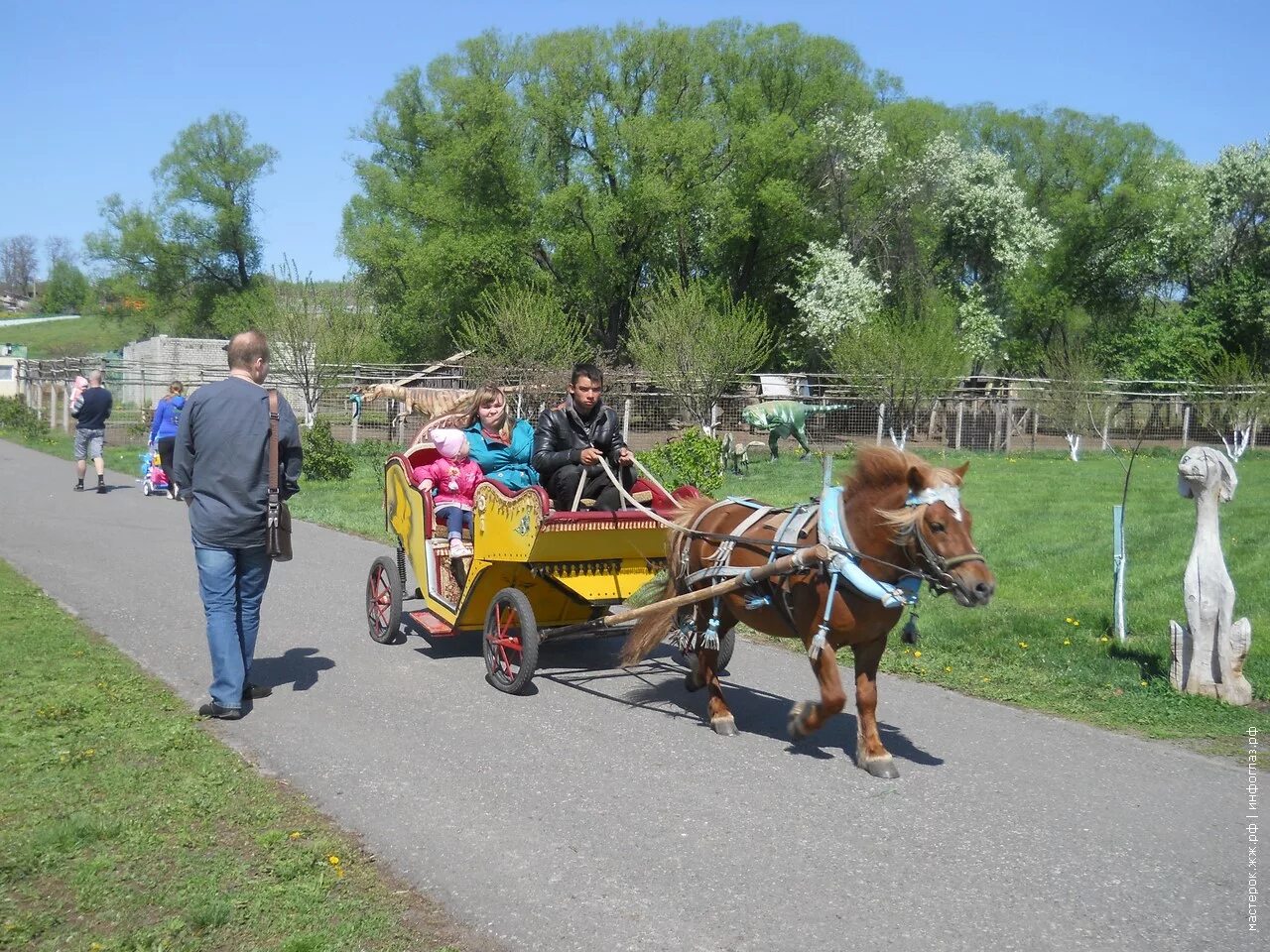 Работа старый оскол зоопарк. Зоопарк старый Оскол. Старый Оскол зоопарк старый Оскол. Старооскольский зоопарк, Хутор Чумаки.