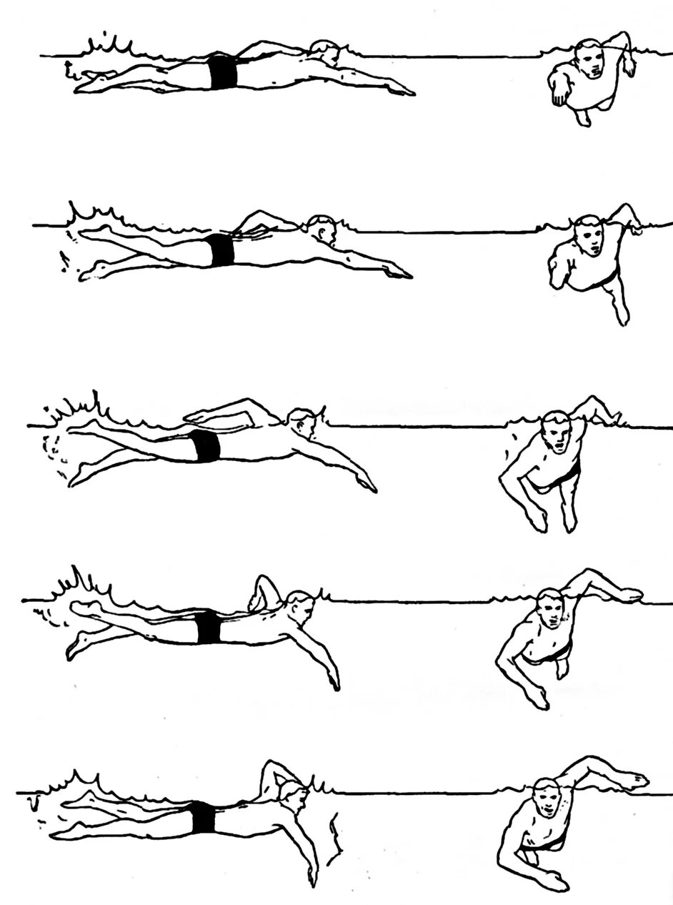 Методика обучения кролю. Стиль плавания Кроль техника. Вольный стиль плавание техника. Вольный стиль Кроль. Вольный стиль (Кроль на груди).