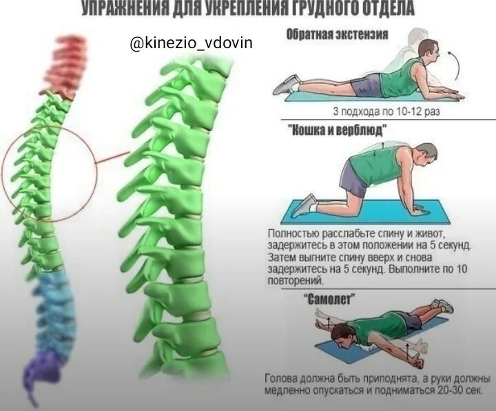 Гимнастика для хондроза грудного отдела позвоночника. Упражнение для укрепления грудного отдела ЛФК. Гимнастика для хондроза шейного и грудного отдела позвоночника. Лечебная гимнастика грудного отдела позвонка. Слабая поясница