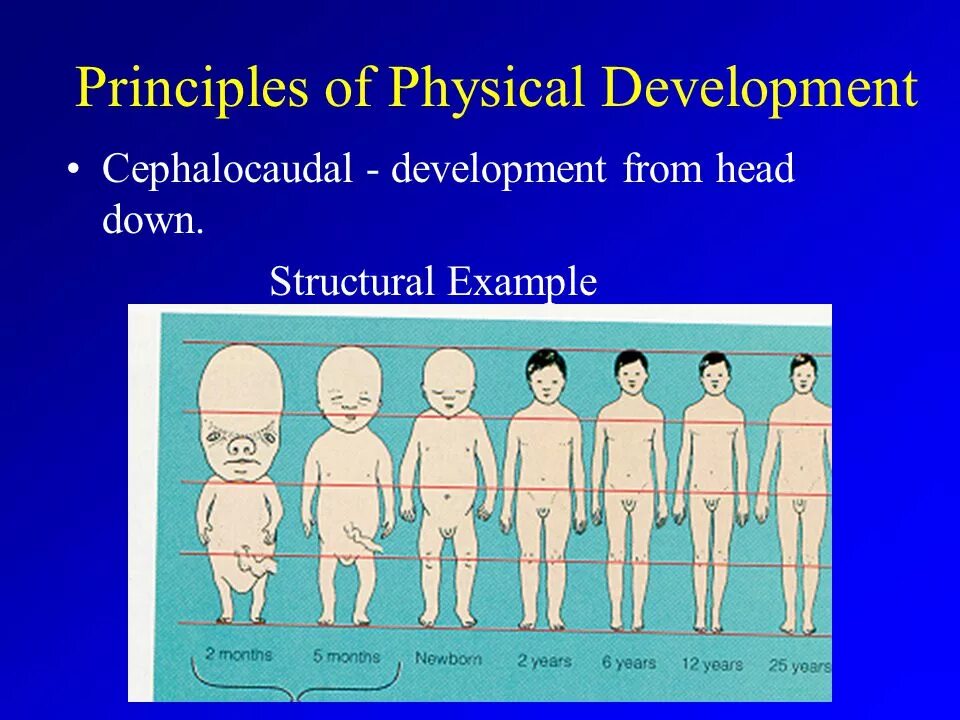 Physical development is. Physical development. cephalocaudal trend. girls physical development. pediatric physical уxamination diagrams.