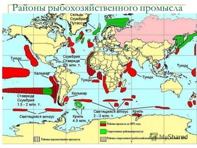 Распределение биологических ресурсов. Биологические ресурсы мира таблица. Биологические ресурсы мирового океана карта. Биологические ресурсы. Распределение биологических ресурсов.