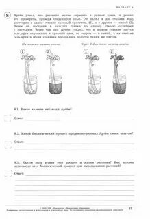 Впр биология линейная