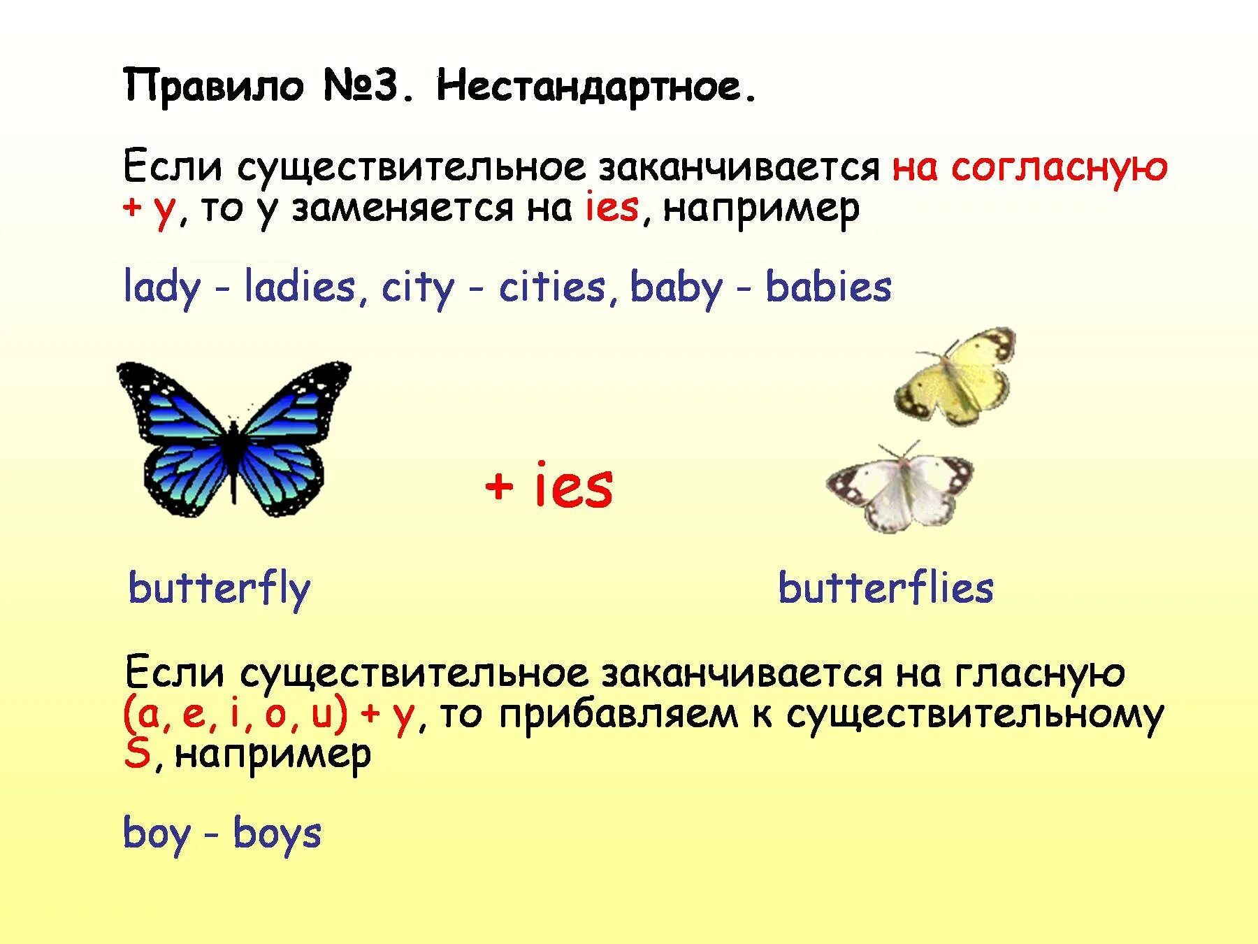 Слова с окончанием з