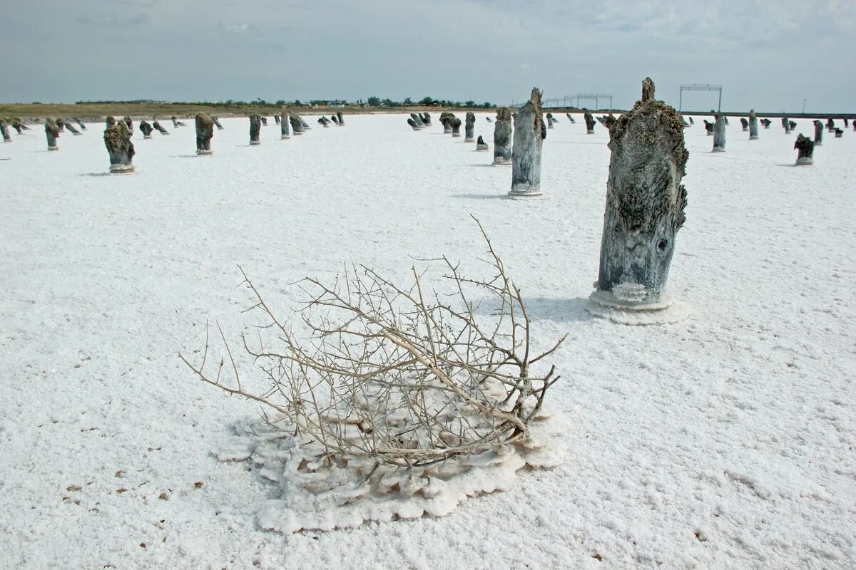 Баскунчак температура. Озеро баскунчак. баскунчак зимой. баскунчак пеньки. нижний баскунчак.