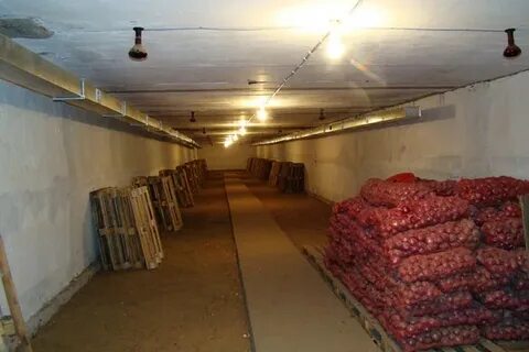 Собранную свеклу заложили в 3 овощехранилище