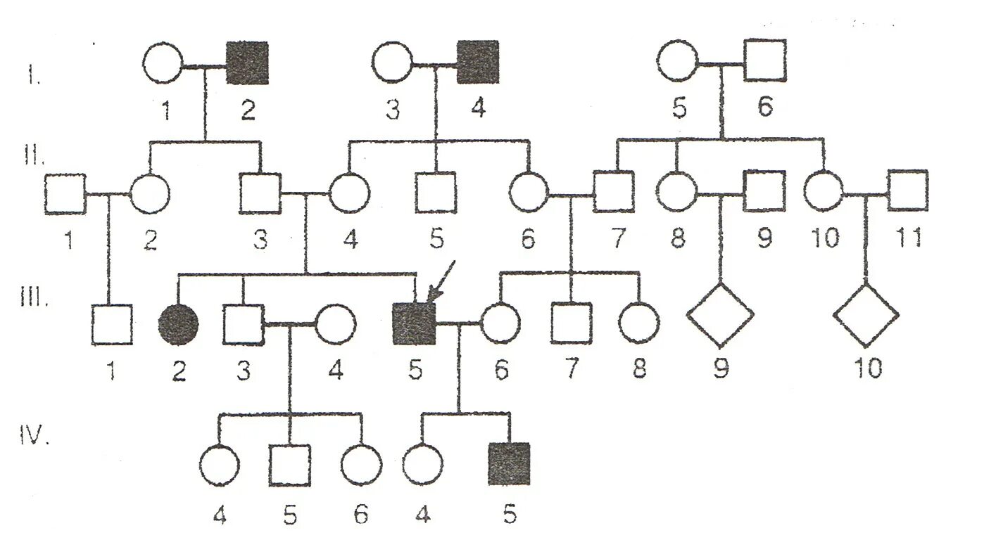 Генетика деревьев. Схема генетического исследования родословной. Родословная семьи генетика. Родословная по генетике с болезнями. Схема родословной генетика.