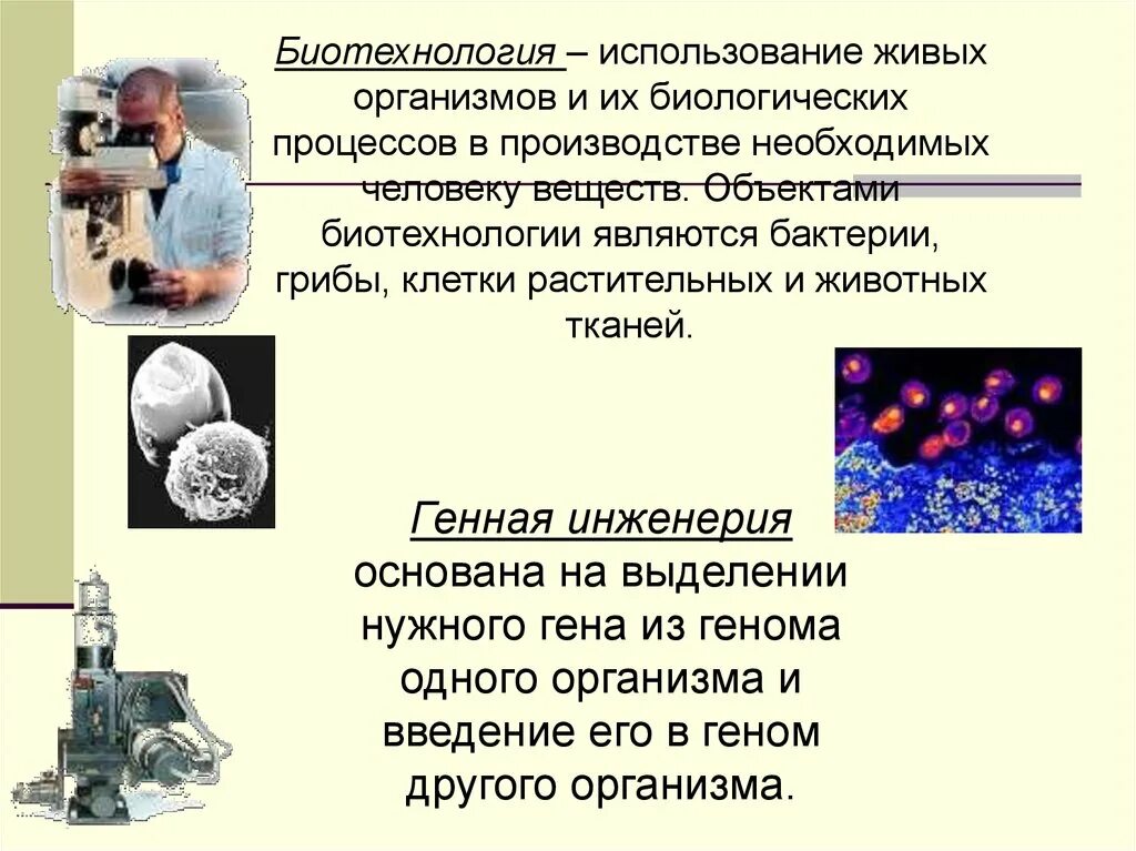 Что является биологическим процессом. Генная инженерия в биотехнологии. Объекты биотехнологии. Объектами биотехнологии являются:. Применение биотехнологий.