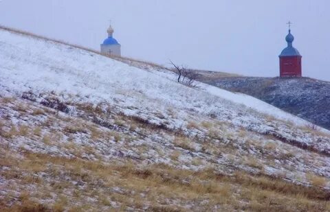 Объявление клетская волгоградская