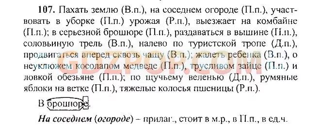 Русском языке 5 класс ладыженская 1. Упражнение 107 русский язык 5 класс ладыженская. Русский язык домашнее задание упражнение 107. Параграф 5 русский язык 5 класс. Родной русский язык 5 класс упражнение 107.