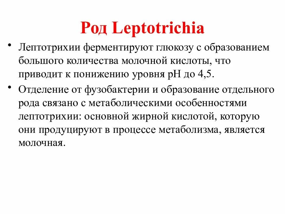 Лептотрикс лечение. Лептотрихии (род Leptotrichia). Лептотрихии таксономия. Лептотрихии полости рта. Лептотрихии в ротовой полости.
