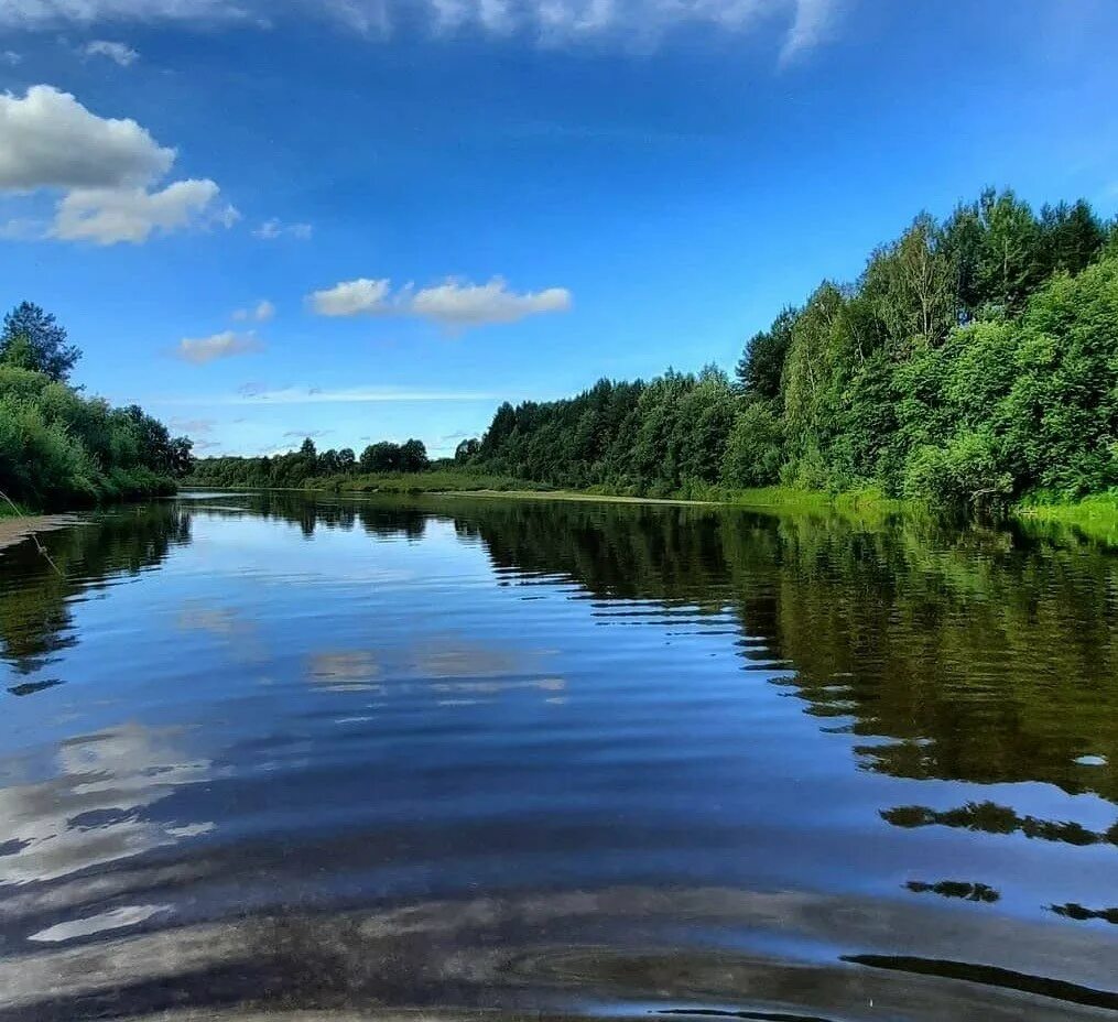 Речка ш. Река Вага Вельский район. Река Вага Архангельской области. Река Вага Шенкурский район. Верховажье река Вага.