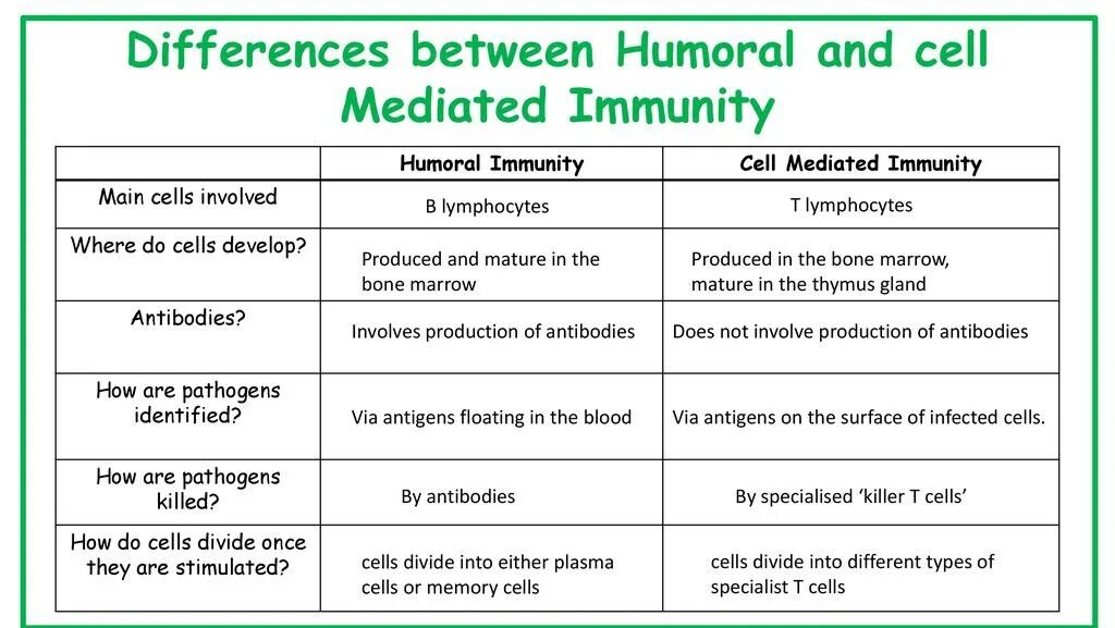 Difference between. Humoral Immunity. Humoral immune response. Humoral System.