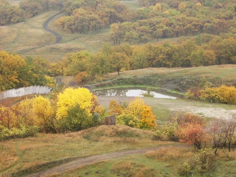 Корольков сад саратов купить саженцы. Корольков сад Саратов. Агроцентр Саратов Корольков сад. Корольков агротуристический сад Саратов.