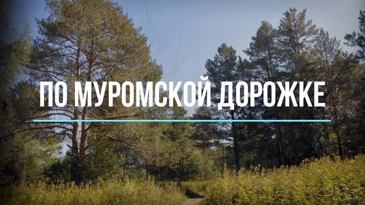 Три дорожки песня. По Муромской дорожке. На Муромской дорожке стояли. На Муромской дорожке стояли 3 сосны. На Мурманской дорожке.