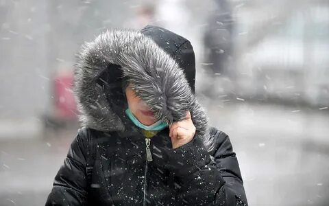 Ожидаются небольшие