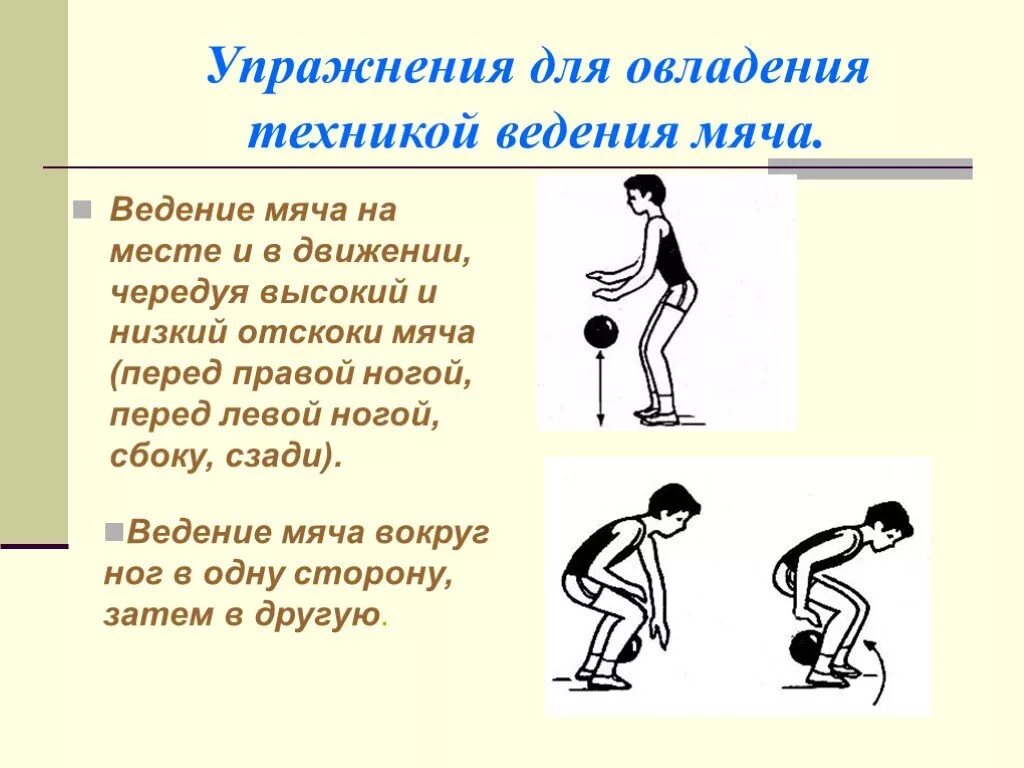 Ведение мяча доклад. Упражнения на ведение мяча в баскетболе. Упражнения в баскетболе на тему ведение мяча. Упражнения для обучения ведения мяча в баскетболе. Упражнения для овладения техникой ведения мяча.