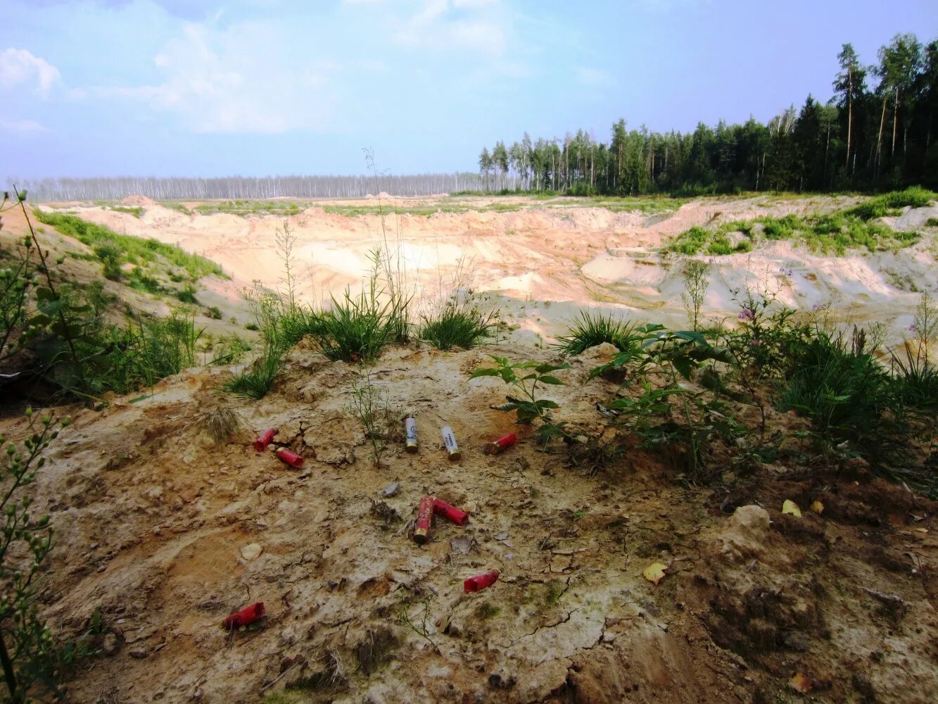 карьер в купавне. карьер купавна 2. песчаный карьер купавна. старая купавна песчаный карьер. купавна песчаные карьеры.