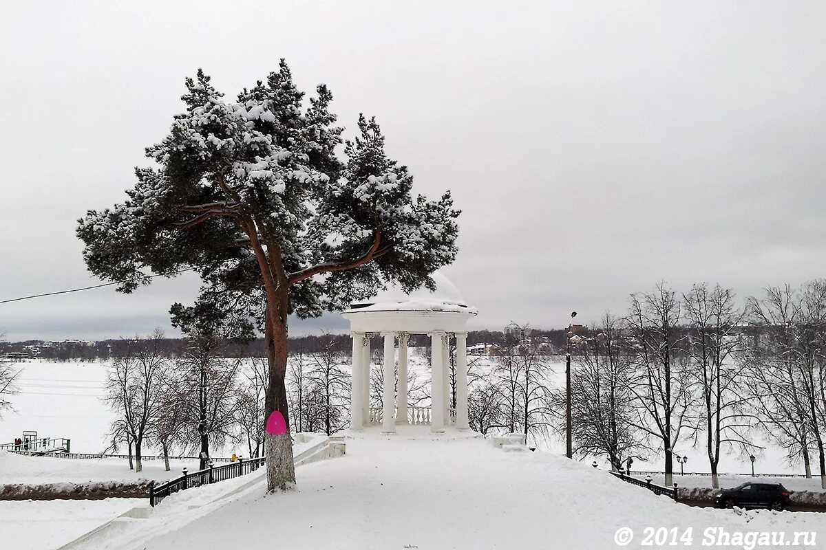 Куда сходить в костроме зимой. Ледовые скульптуры кострома. Зимняя кострома. Зимняя кострома центр города. Красивые места в костроме зимой.