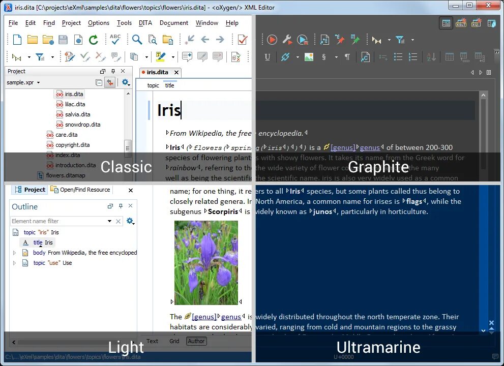 Oxygen editor. Xml editor. xml editor от oxygen. preset editor oxygen pro. устанавливаем и настраиваем oxygen xml..