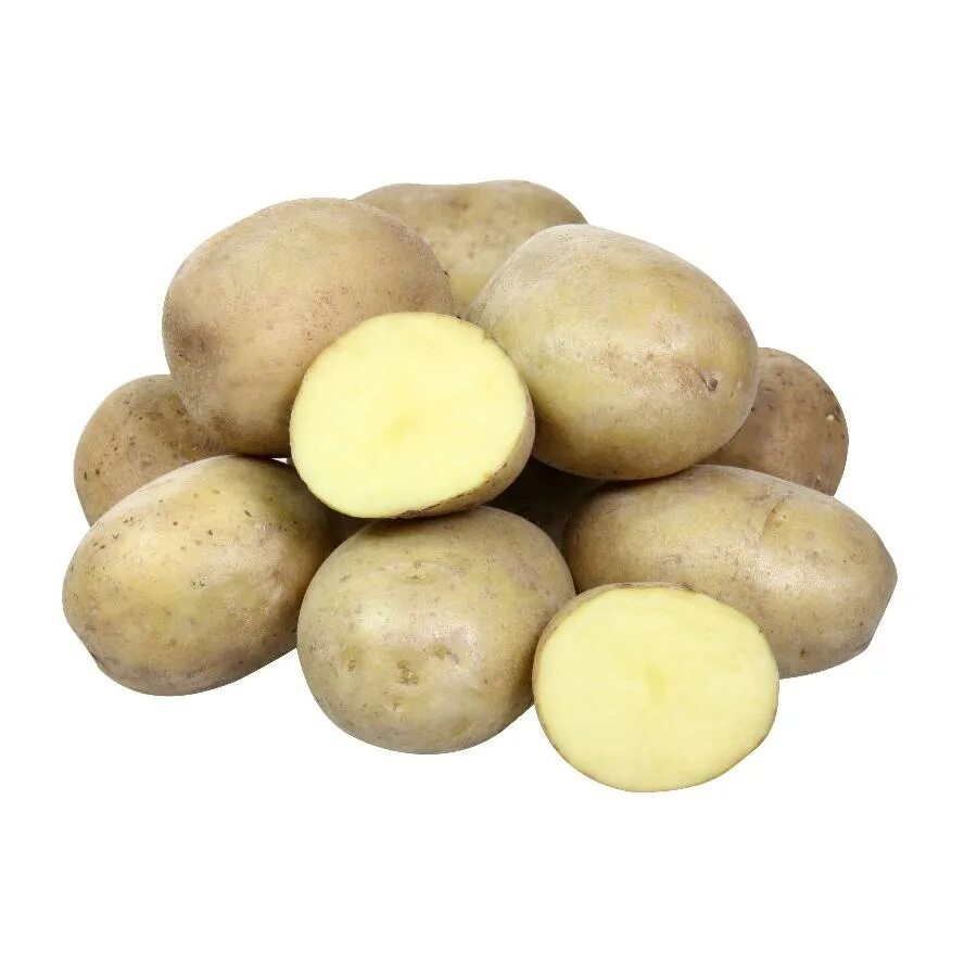 Какой сорт картофеля рассыпчатый. Семенной картофель Адретта. Сорт картошки Адретта. Семена картофеля Адретта.