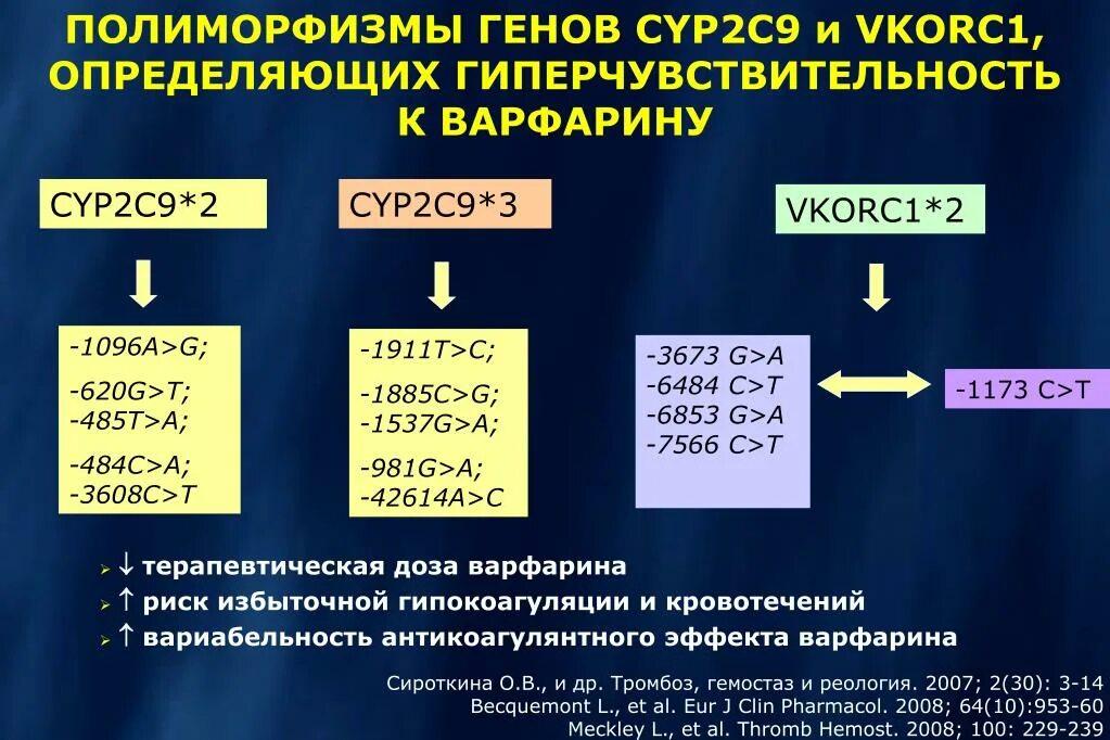 12 полиморфизмов