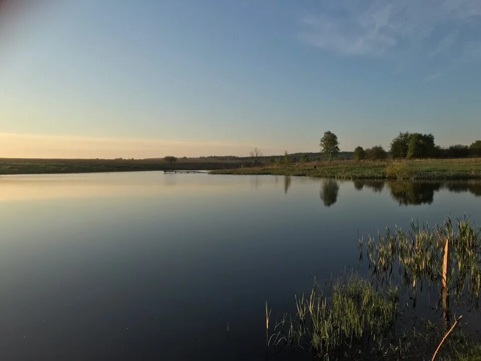 Озеро каменка калужская. Озеро каменка калужская. Каменка озеро нск рыбалка. Каменка озеро нск рыбалка. Озеро каменка калужская.