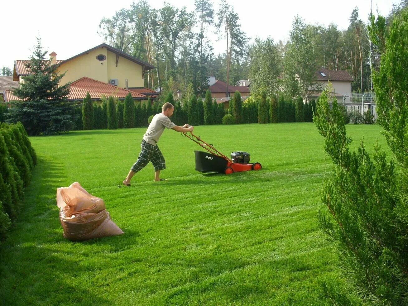 32 Fun Backyard Trampoline Ideas Turf backyard, In ground trampoline, Artificial