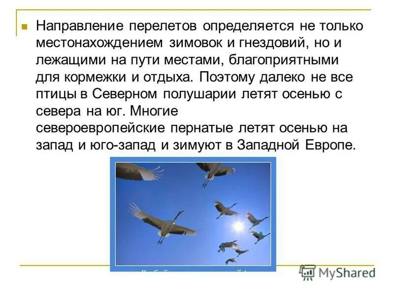 Система предупреждения столкновения самолётов в воздухе. Перелет направление. Перелет направление. Перелет направление. Карта перелетов самолетов.