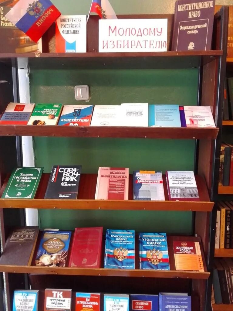 Молодому избирателю книжная выставка. Название выставки к выборам в библиотеке. Выставка молодому избирателю в библиотеке. Книжная выставка выборы. Книжная выставка ко дню молодого избирателя.