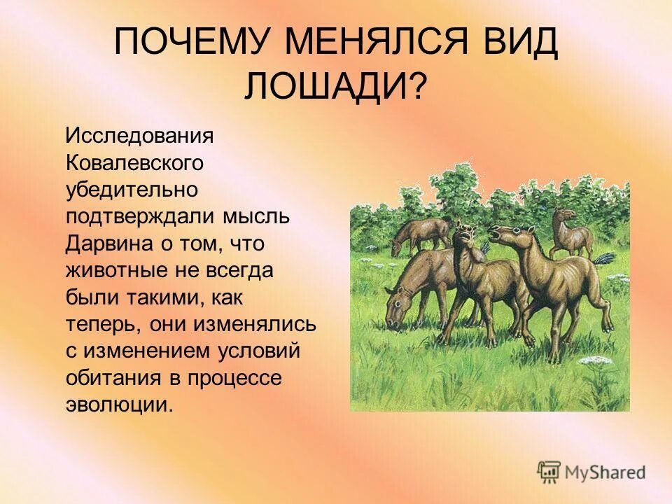 Типы изменений в организации. Почему виды изменяются. Почему луна меняет форму. Управление изменениями проекта. Исторические изменения в морфемике.