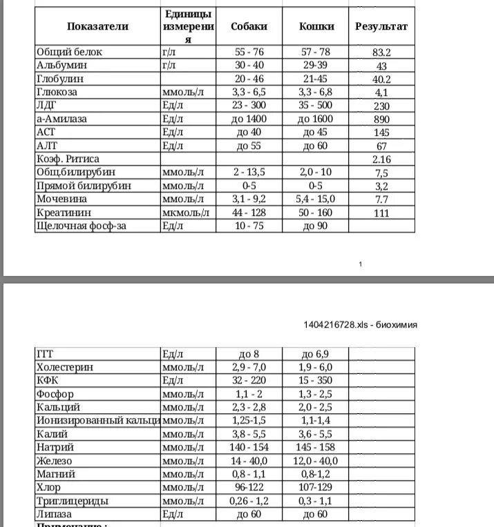 Показатели нормы биохимии крови животных. Показатели крови у кошек расшифровка. Норма биохимического анализа крови у собак таблица. Показатели биохимии крови кошек норма. Расшифровать биохимию крови
