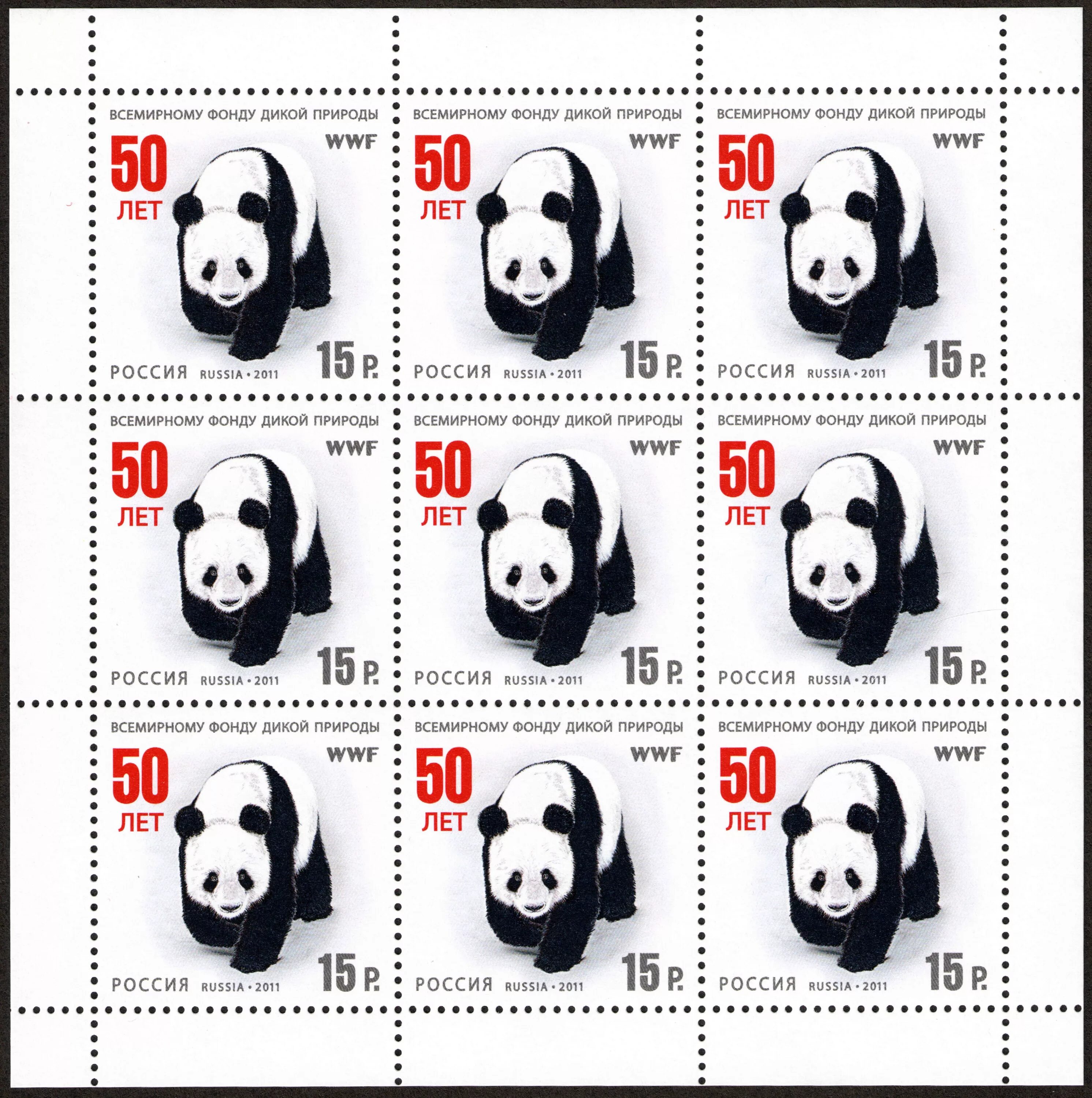 Pandas заголовки