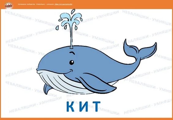 День защиты китов и дельфинов в детском саду. ). День защиты китов и дельфинов в детском саду. Всемирный день китов и дельфинов. Всемирный день китов и дельфинов.