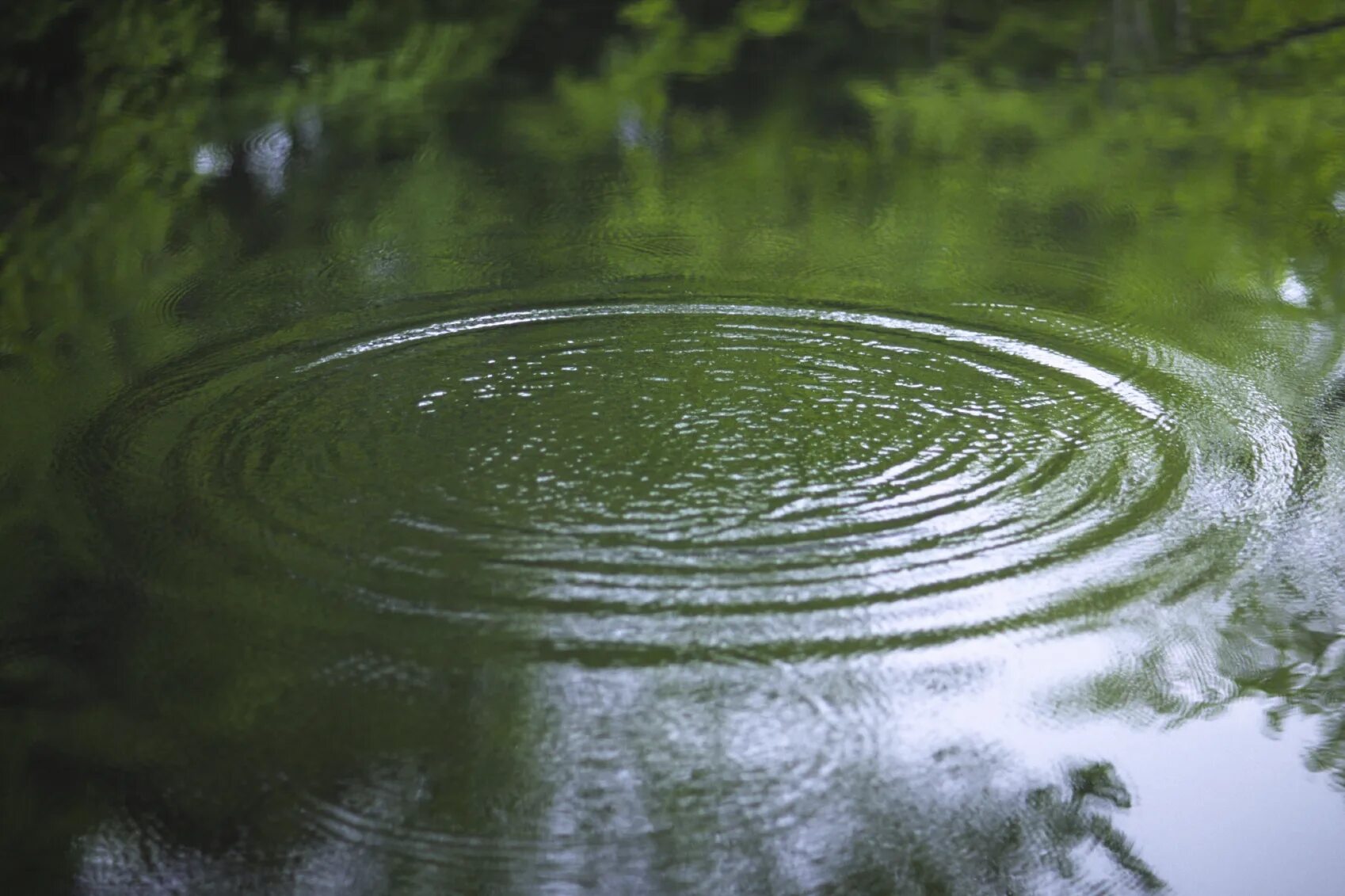 Отражаются на поверхности воды. Вода в пруду. Поверхность воды пруд. Рябь на воде. Пруд с рябью.