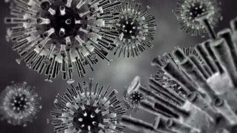H5n1 virus