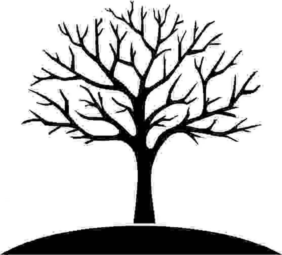 Дерево без листвы. Ветка дерева. Дерево без листьев. Дерево рисунок без листьев. Коричневое дерево без листьев.